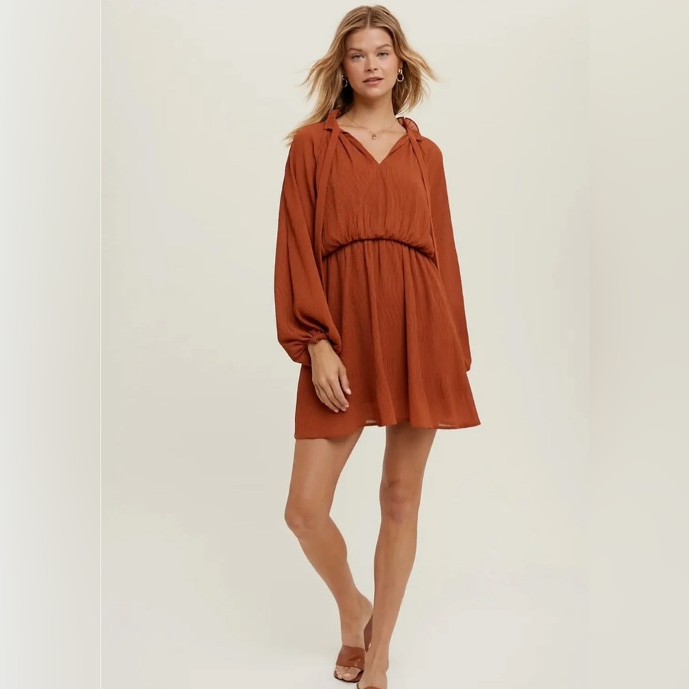 Wishlist Tie Ruffle Neck Crepe Dress-Terra Cotta